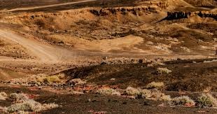 休斯顿太空人新秀布莱格曼在 2A 表现优异，被提拔至 3A